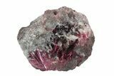 Vibrant, Magenta Erythrite Crystals - Morocco #93606-1